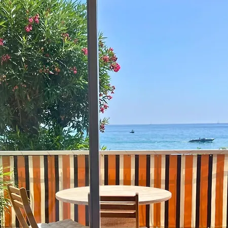 Azurea * マントン